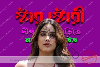 Cover 2
