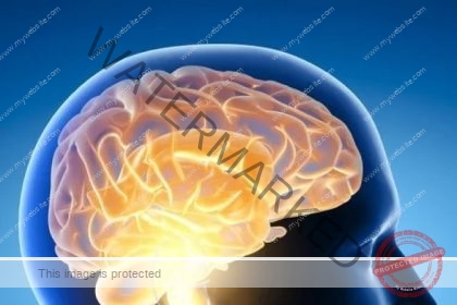 ImageForArticle_23943_17060887537089878