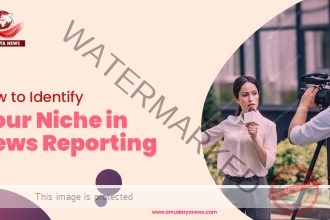 How to Identify Your Niche in News Reporting