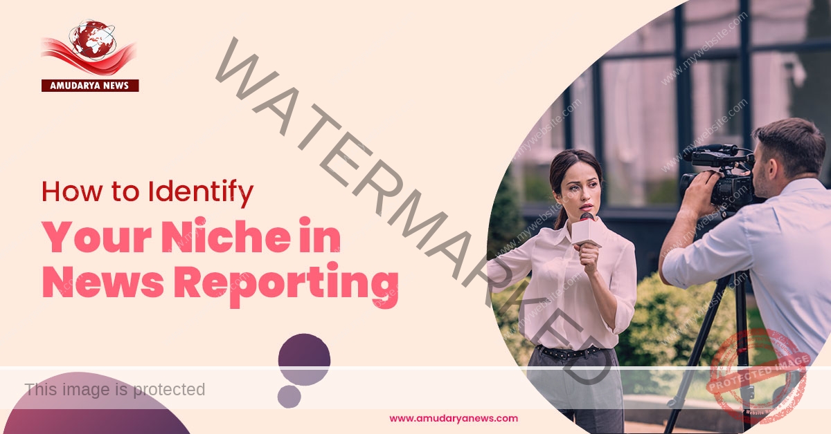How to Identify Your Niche in News Reporting