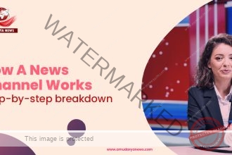 How a News Channel Works: A Step-by-Step Breakdown?