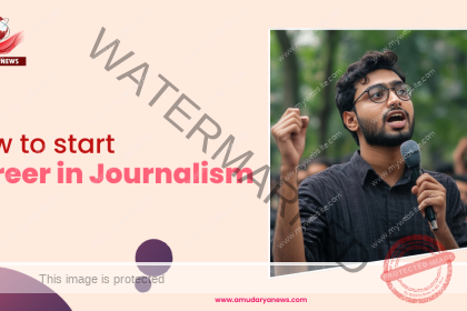 How to Start a Career in Journalism